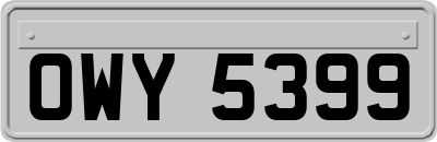 OWY5399