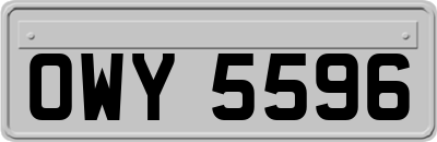 OWY5596