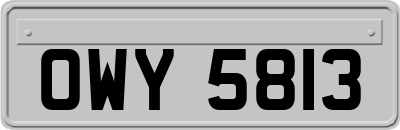 OWY5813