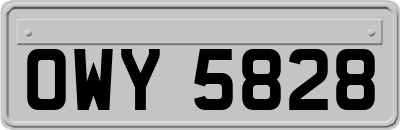 OWY5828