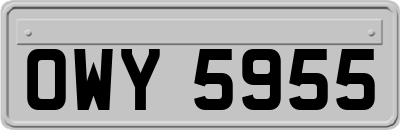 OWY5955