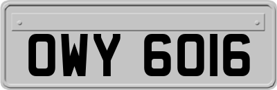 OWY6016