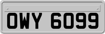 OWY6099