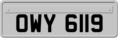 OWY6119