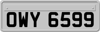 OWY6599