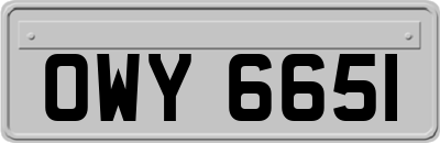 OWY6651