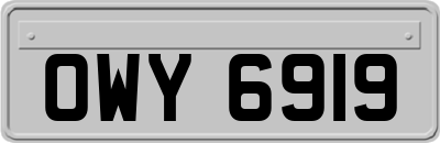 OWY6919