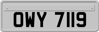 OWY7119