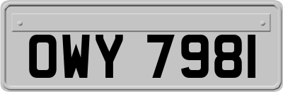 OWY7981