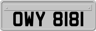 OWY8181
