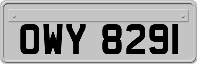 OWY8291