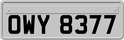 OWY8377