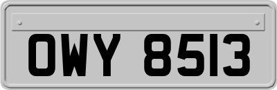 OWY8513