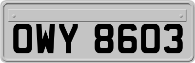 OWY8603