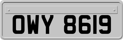 OWY8619