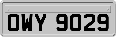 OWY9029