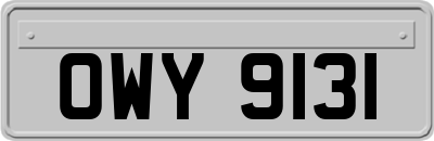 OWY9131