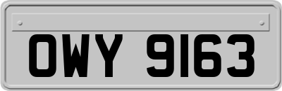 OWY9163