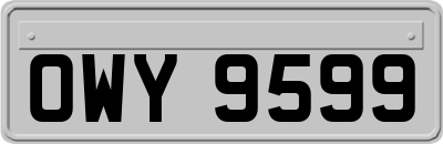 OWY9599