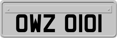 OWZ0101