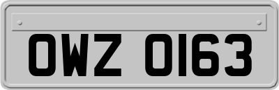 OWZ0163