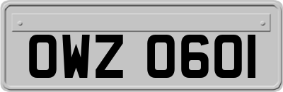 OWZ0601