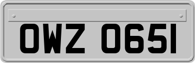 OWZ0651