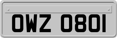 OWZ0801