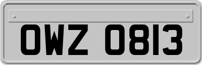OWZ0813