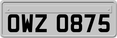 OWZ0875