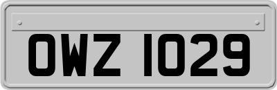 OWZ1029
