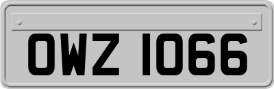 OWZ1066
