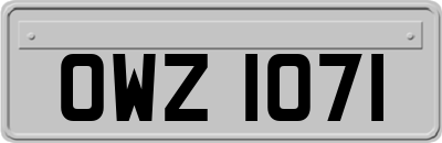 OWZ1071