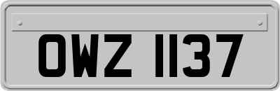 OWZ1137