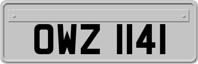 OWZ1141