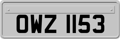 OWZ1153