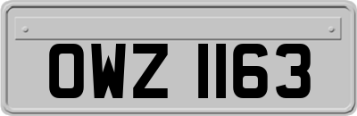 OWZ1163