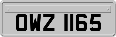 OWZ1165
