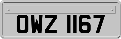 OWZ1167