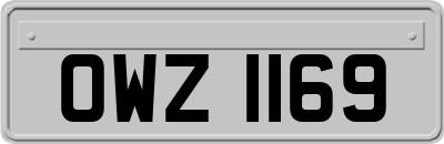 OWZ1169