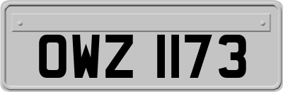 OWZ1173
