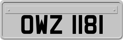 OWZ1181