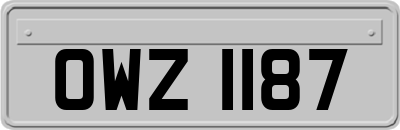 OWZ1187