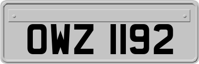 OWZ1192