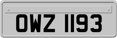 OWZ1193