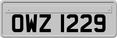 OWZ1229