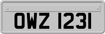 OWZ1231
