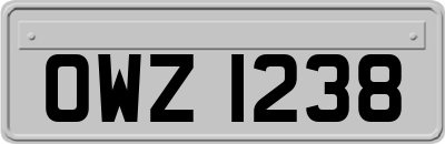 OWZ1238