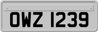 OWZ1239