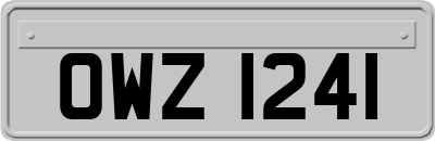 OWZ1241